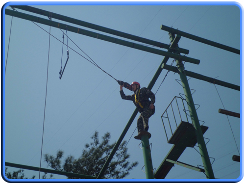 團(tuán)隊建設(shè)(圖3)